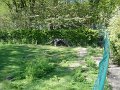 zoo 084